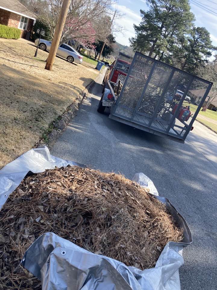 Large tarp piled with brown leaves and pine needles on a residential street during cleanup