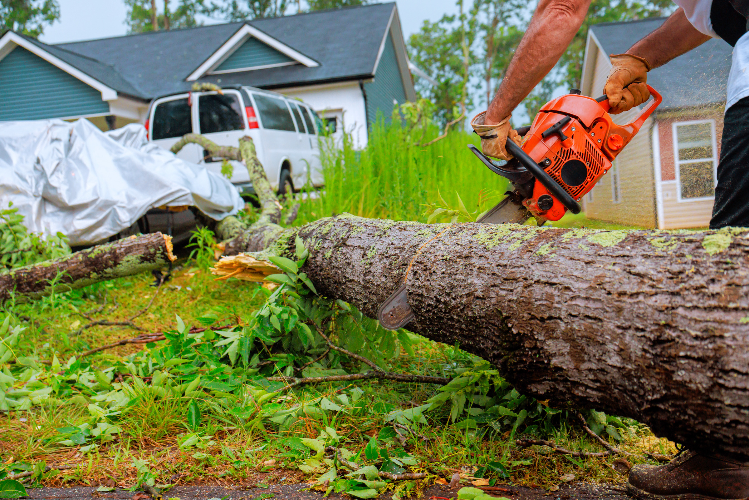 Worker using a chainsaw on a fallen tree trunk during storm cleanup